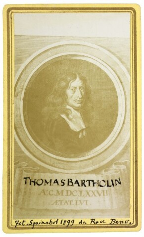 Anteprima dell'oggetto