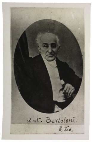 Anteprima dell'oggetto