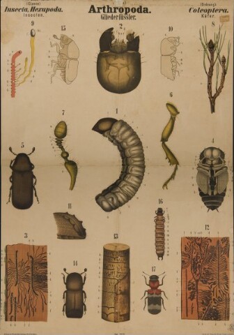 Anteprima dell'oggetto