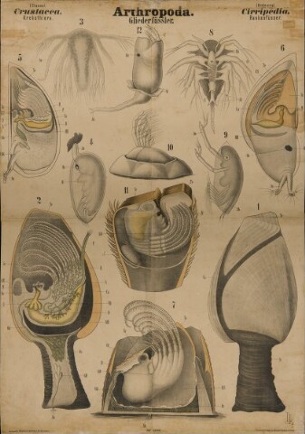 Anteprima dell'oggetto