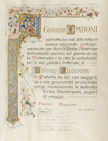 Anteprima dell'oggetto