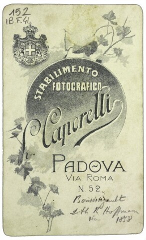 Anteprima dell'oggetto