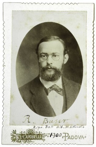 Anteprima dell'oggetto