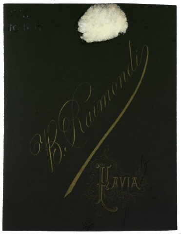 Anteprima dell'oggetto