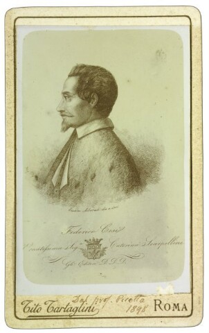 Anteprima dell'oggetto