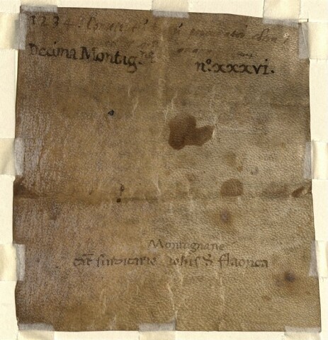 Anteprima dell'oggetto