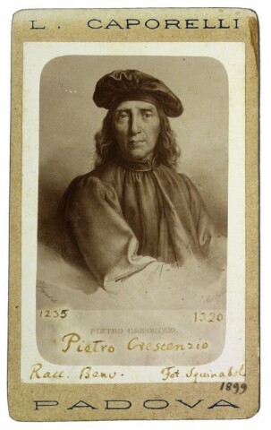 Anteprima dell'oggetto