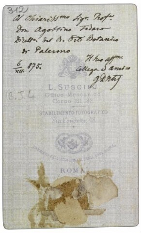 Anteprima dell'oggetto