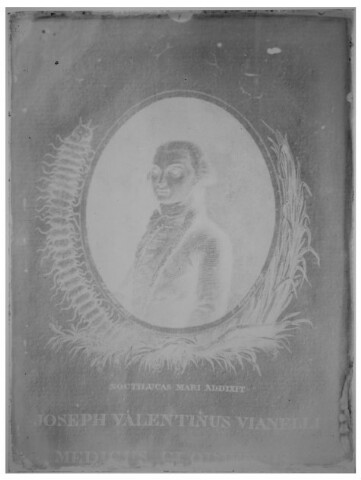 Anteprima dell'oggetto