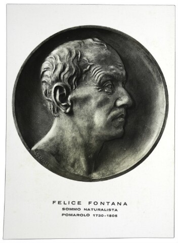 Anteprima dell'oggetto