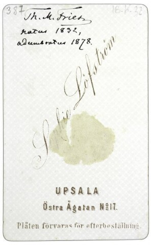 Anteprima dell'oggetto