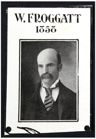 Anteprima dell'oggetto