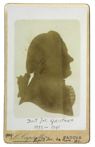 Anteprima dell'oggetto