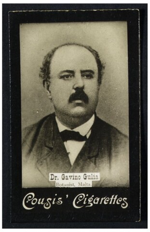 Anteprima dell'oggetto