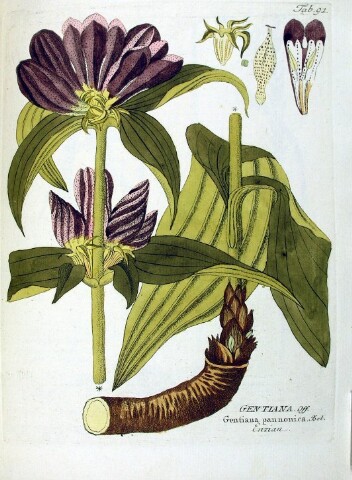 Anteprima dell'oggetto