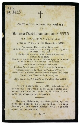 Anteprima dell'oggetto