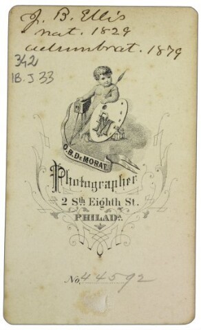 Anteprima dell'oggetto