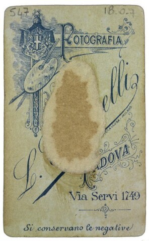 Anteprima dell'oggetto