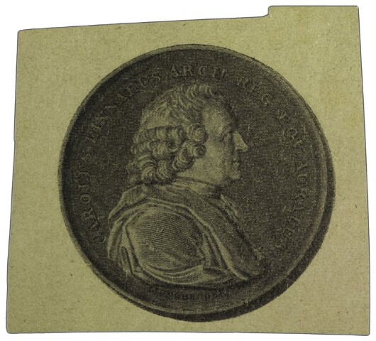 Anteprima dell'oggetto