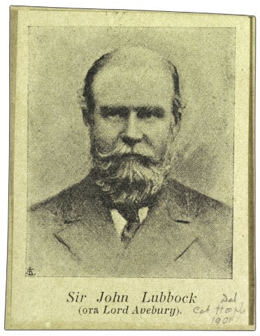 Anteprima dell'oggetto