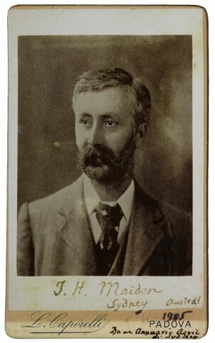 Anteprima dell'oggetto