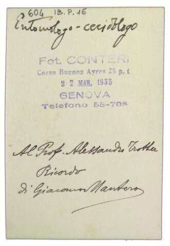 Anteprima dell'oggetto