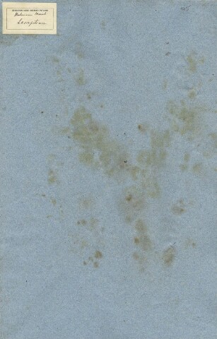 Anteprima dell'oggetto