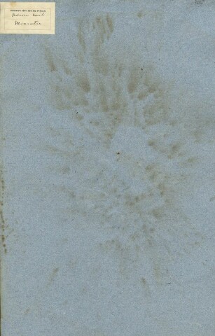 Anteprima dell'oggetto