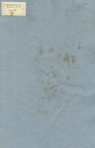 Anteprima dell'oggetto