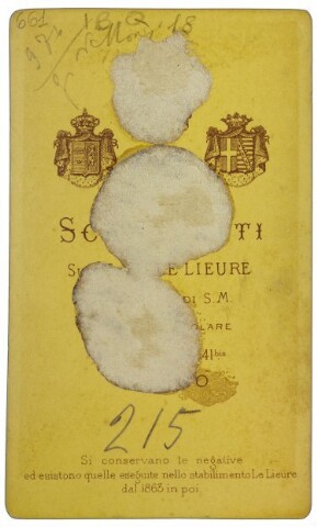 Anteprima dell'oggetto