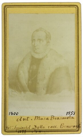 Anteprima dell'oggetto