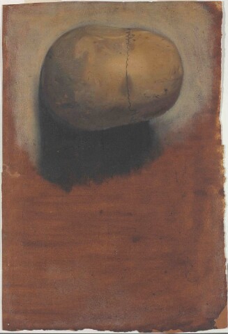 Anteprima dell'oggetto