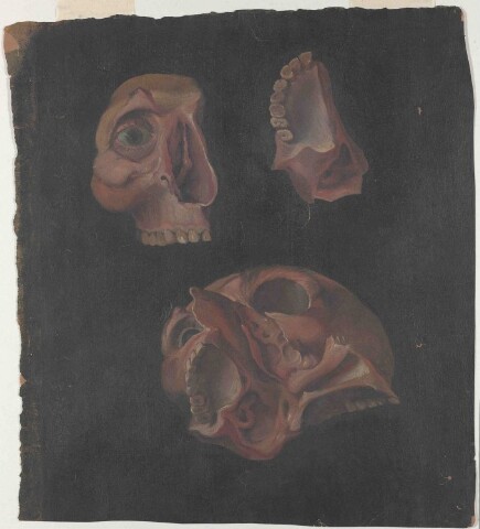 Anteprima dell'oggetto