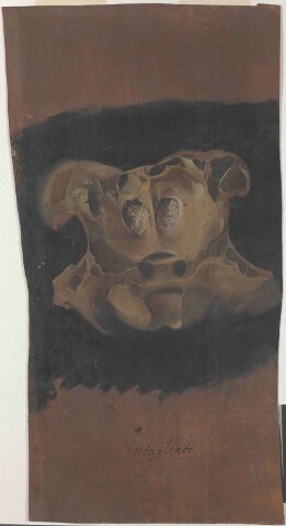 Anteprima dell'oggetto