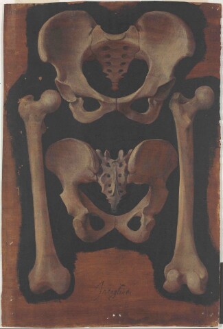 Anteprima dell'oggetto