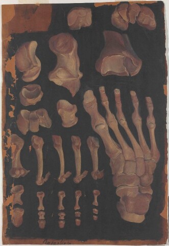 Anteprima dell'oggetto