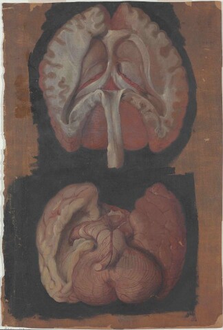 Anteprima dell'oggetto