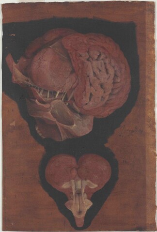 Anteprima dell'oggetto