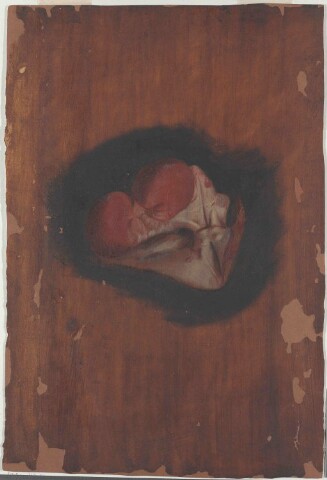 Anteprima dell'oggetto