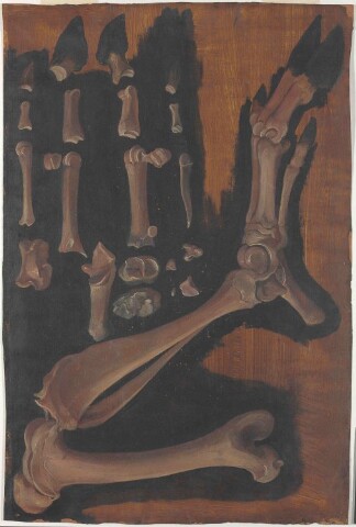 Anteprima dell'oggetto