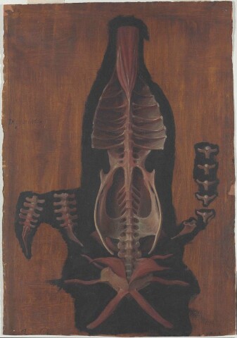 Anteprima dell'oggetto