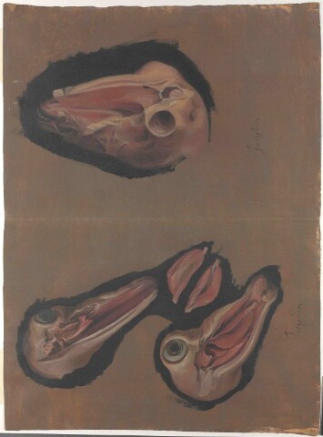 Anteprima dell'oggetto