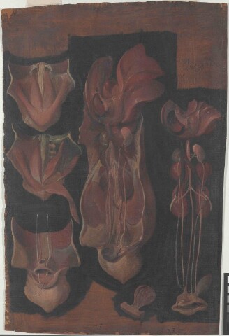 Anteprima dell'oggetto