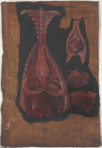 Anteprima dell'oggetto