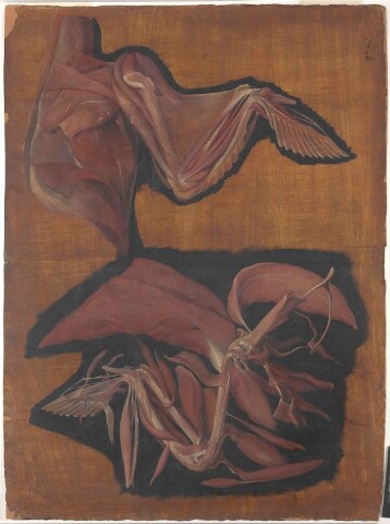 Anteprima dell'oggetto