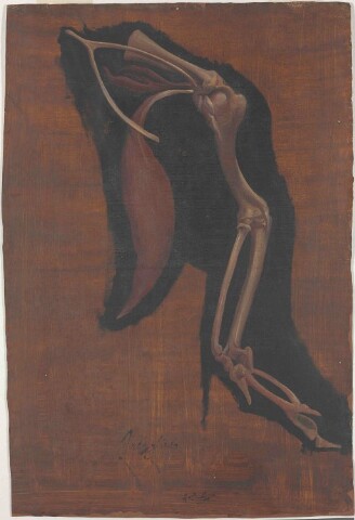 Anteprima dell'oggetto