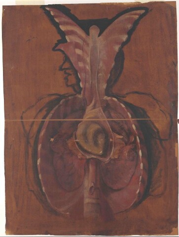 Anteprima dell'oggetto