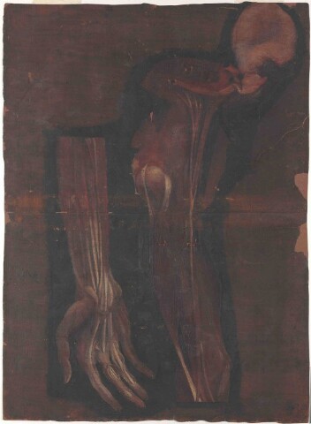 Anteprima dell'oggetto