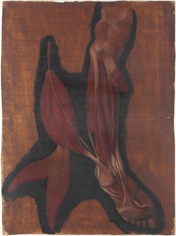 Anteprima dell'oggetto