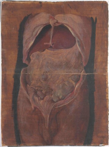 Anteprima dell'oggetto